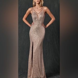 New Champagne Sequin Evening Gown/XS